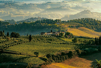 Scenic view of agricultural landscape against sky