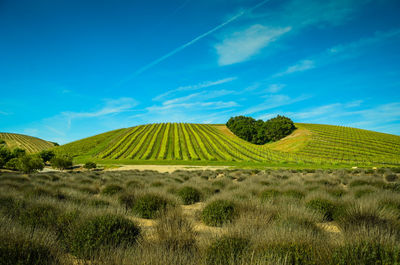 Scenic view of land against blue sky