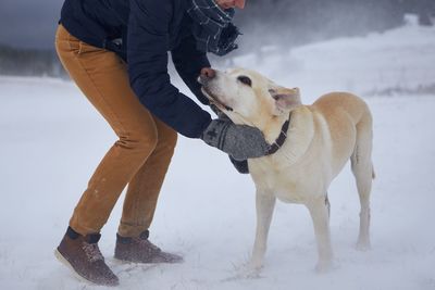 Low section of man with dog standing on snow covered land