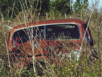 Abandoned car on grass