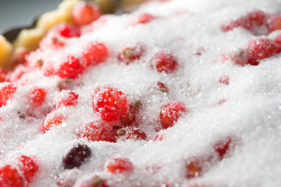 Close-up of ice cream