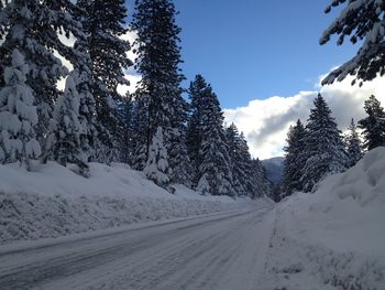 Snow covered road by trees against sky