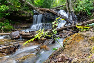 waterfall