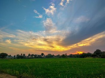 Scenic view of field against sky during sunset