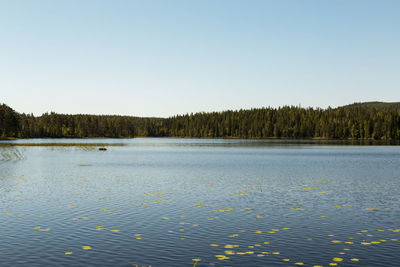 Scenic view of lake against clear sky