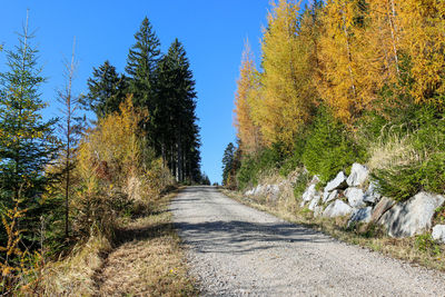 Autumn color. 