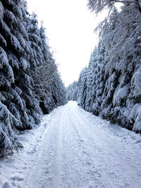 Road amidst snow covered trees against clear sky