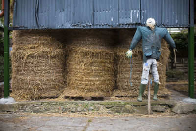 Full length of scarecrow in a barn on a farm