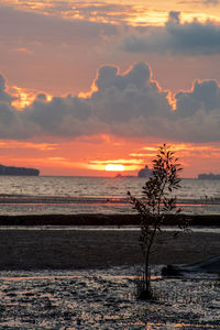 Scenic view of sea against orange sky