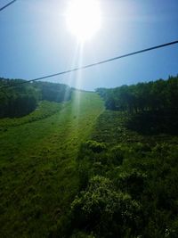 Scenic view of grassy field against sky