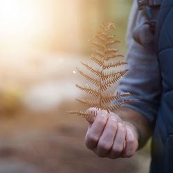 Midsection of man holding dry leaves