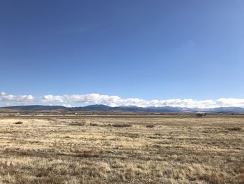 Scenic view of field against blue sky