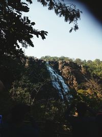 Scenic view of forest against sky