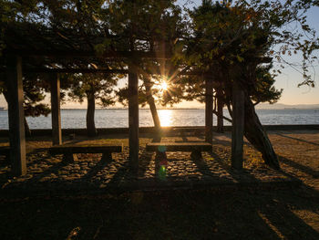 Trees on beach against sky