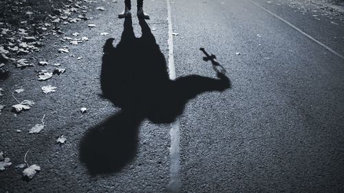 Shadow of people on road