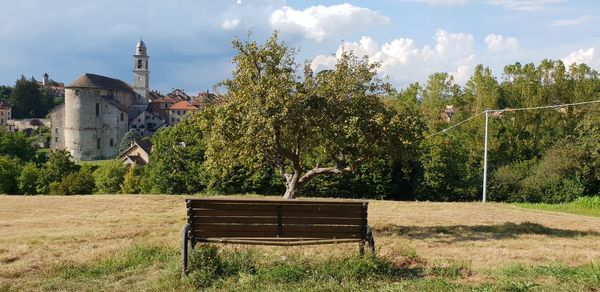 Bench against trees and plants on field