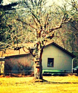 Building with trees in background