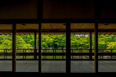 Trees seen through bridge