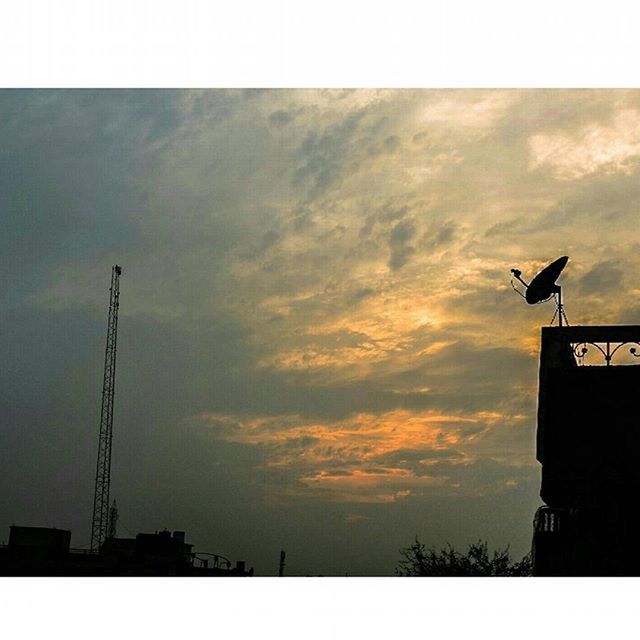 transfer print, sky, low angle view, silhouette, bird, building exterior, cloud - sky, animal themes, auto post production filter, built structure, architecture, sunset, cloud, animals in the wild, wildlife, cloudy, flying, one animal, outdoors, nature