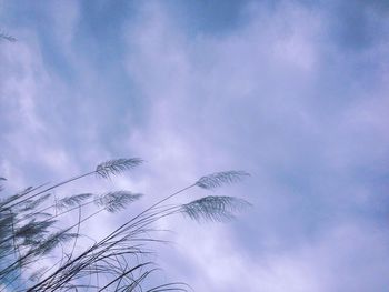 Low angle view of cloudy sky