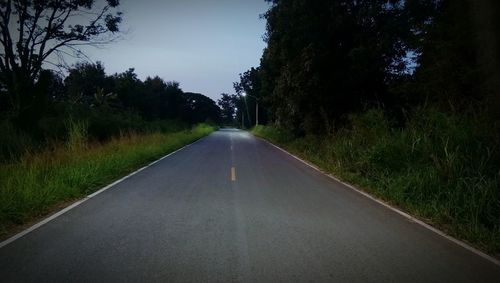 Empty road along trees