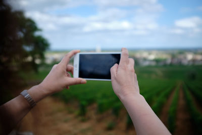 Cropped hands photographing vineyard with smart phone