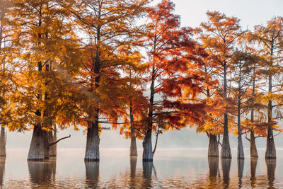 Scenic view of lake against sky during autumn