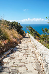 Footpath by sea against sky