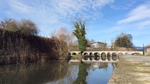 Reflection of trees in water against sky