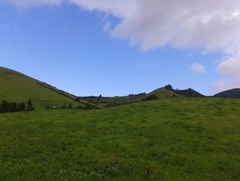 Scenic view of grassy field against sky