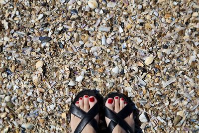 Low section of woman standing on pebbles and broken shells at beach