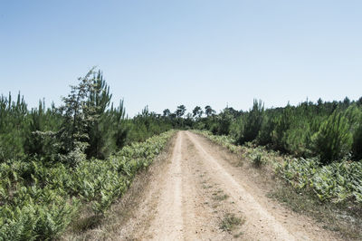 Dirt road on field against clear sky