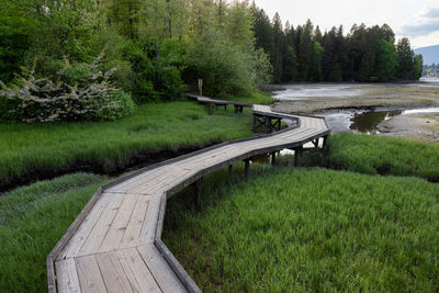 Footpath in park