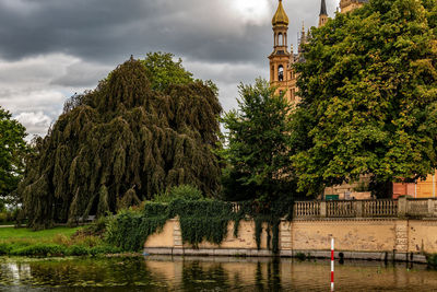 Trees and plants by river against sky