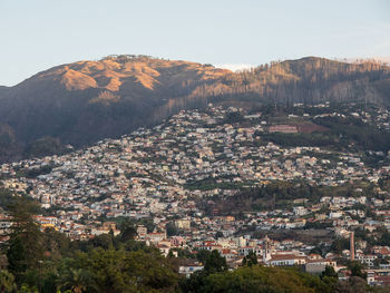 Funcha on the island of madeira