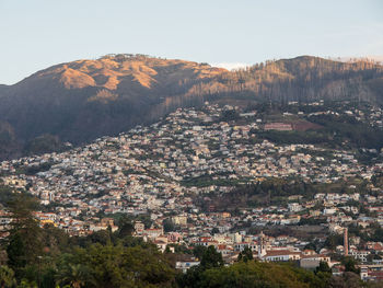 Funchal and the island of madeira