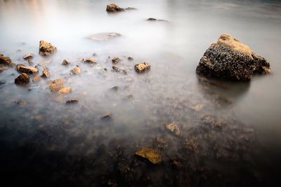 High angle view of rocks in lake