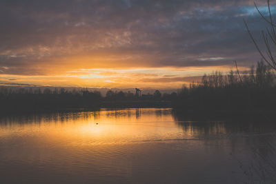 Silhouette of trees at sunset