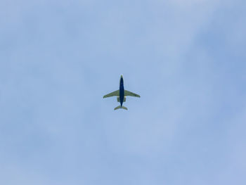 Low angle view of bird flying in sky