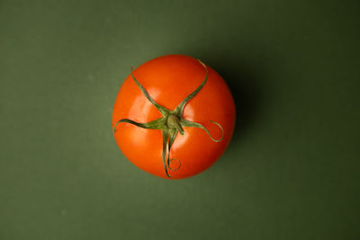 Close-up of orange fruit against green background