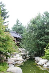 Scenic view of lake