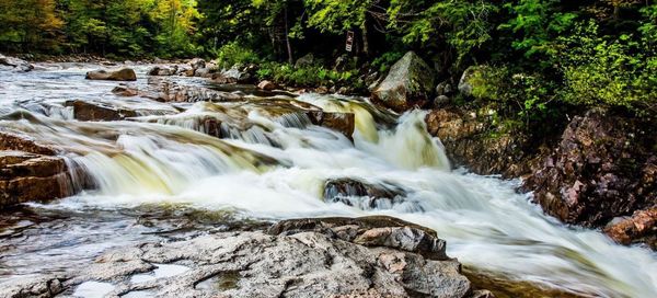 View of waterfall in forest