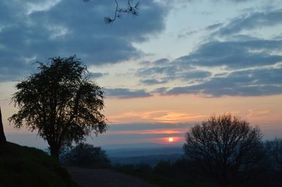 Silhouette tree against sky during sunset