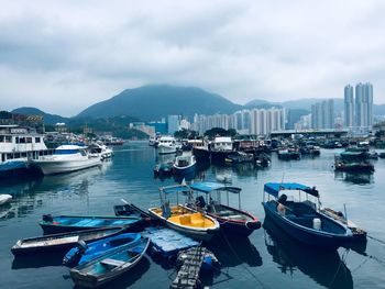 Boats moored in harbor