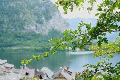 Beautiful hallstatt 