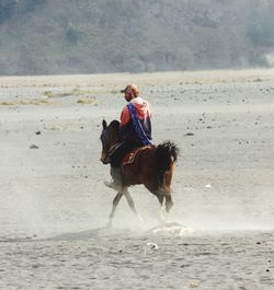 Man riding horse on beach