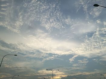 Low angle view of trees against sky during sunset