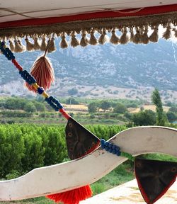 Bird on mountain against sky