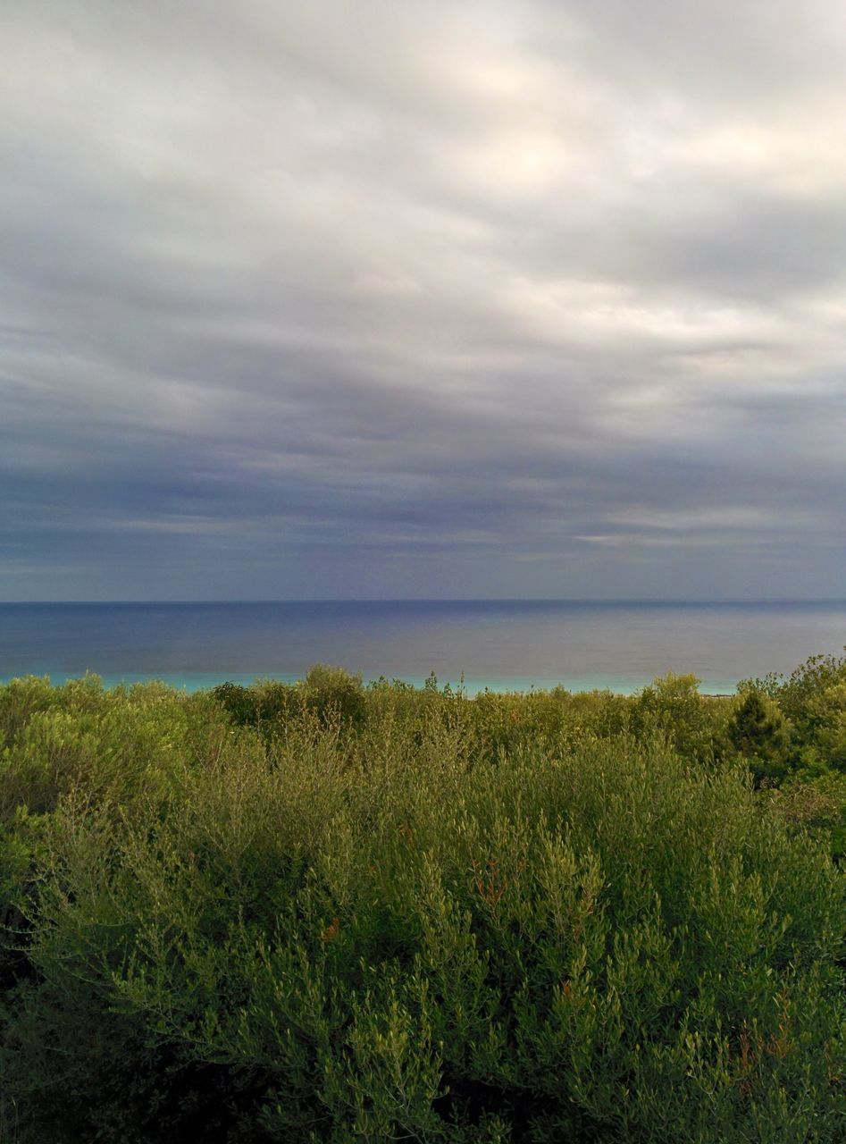 sky, horizon over water, tranquil scene, sea, tranquility, scenics, grass, beauty in nature, cloud - sky, water, nature, cloudy, plant, cloud, growth, idyllic, green color, beach, landscape, field