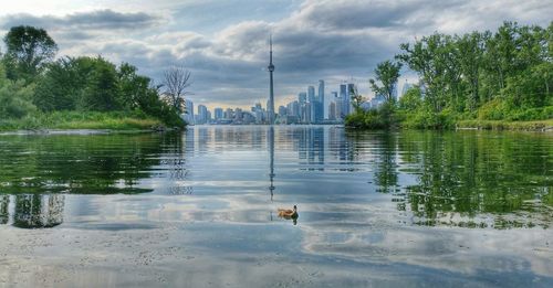 View of toronto's cn tower from the toronto islands